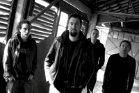 7 WEEKS ET H-TRAY A IMAJ CRI ART