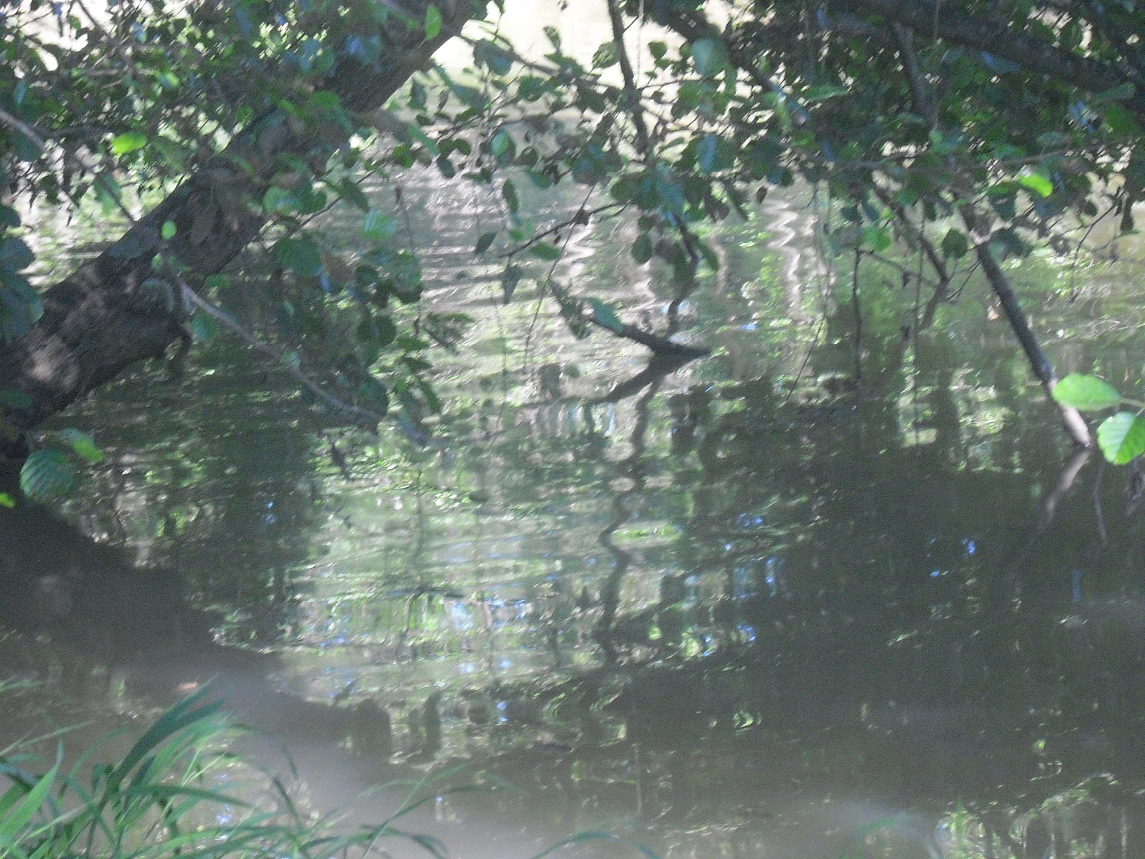 programme des ateliers et rencontres de troc zen arts