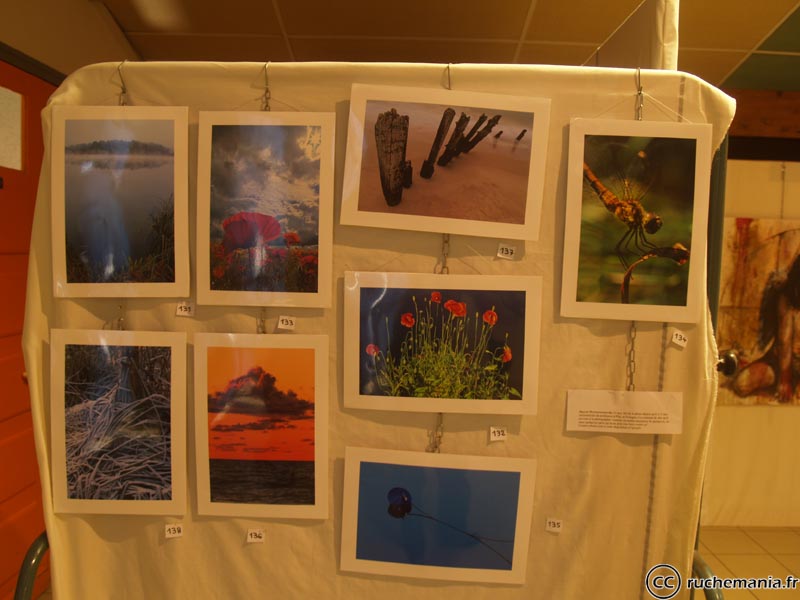 Wytrzyszczewski Marcin