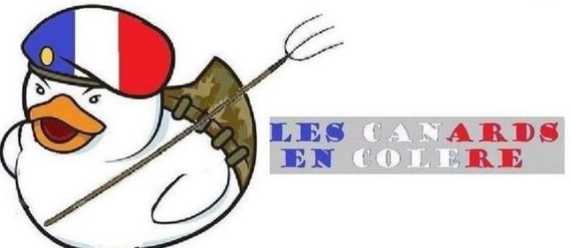 Gers : Le groupe « Canards en colère » devient une association