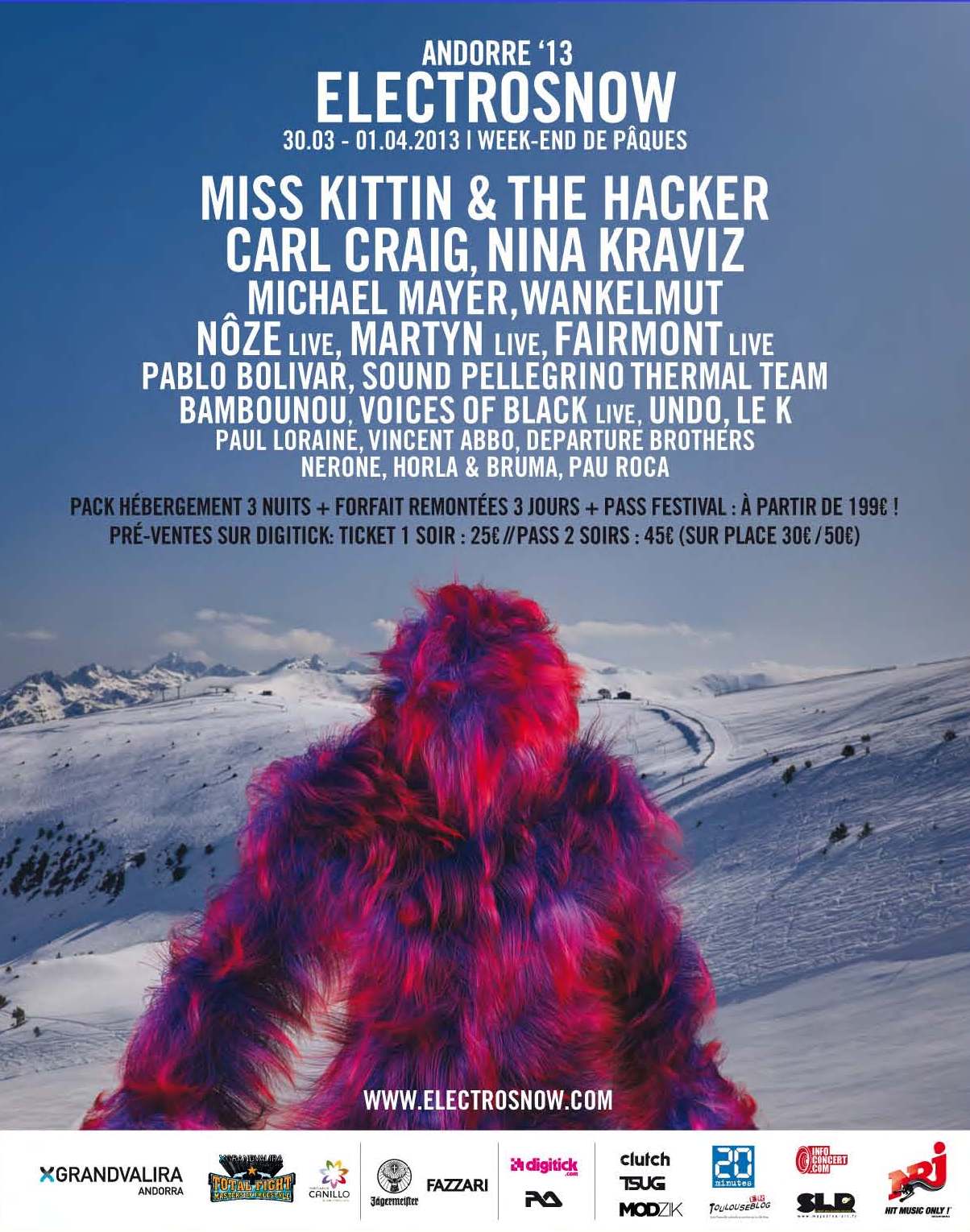 Electrosnow 2013