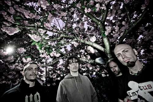 Bulweria Bifax + Eryn Non Dae