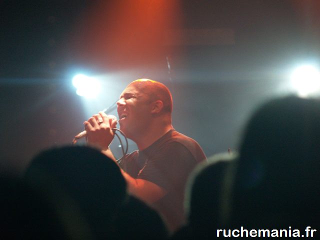 Les 10 ans du Cri&rsquo;art