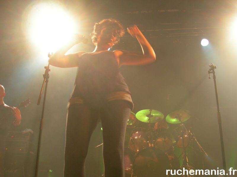 Humeurs musicales d’un petit bourdon au concert de Senser