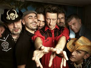 washington dead cats